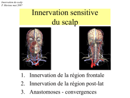 Nerfs sensitifs de la région occipitale