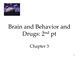 Brain & Behavior & Drugs