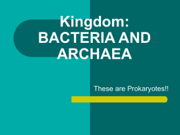 Kingdom: BACTERIA AND ARCHAEA