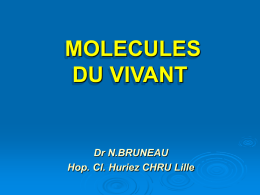 molécules 2011