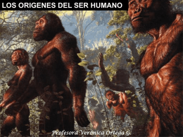 ¿Qué fue la hominización?