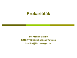 KL_prokariota - Középiskolás elõadások az SZTE-TTIK-n