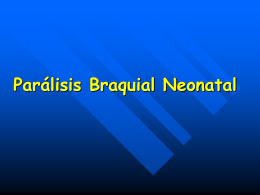 Parálisis Braquial Neonatal