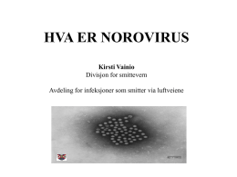 Calicivirus - Norwalkvirus (Norovirus) -