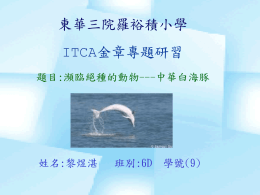 中華白海豚 - 東華三院羅裕積小學
