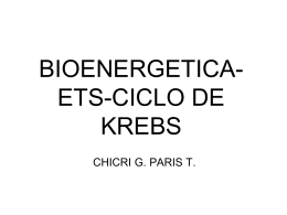 BIOENERGETICA-ETS-CICLO DE KREBS
