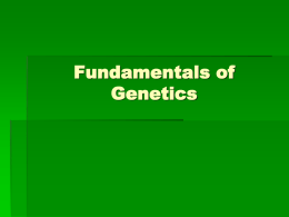 Fundamentals of Genetics Gregor Mendel
