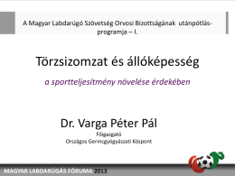 DR.Varga_Peter_Pal_MLF - Magyar Labdarúgó Szövetség