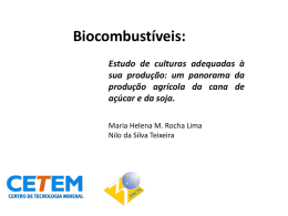 Biocombustíveis - CETEM - Centro de Tecnologia Mineral