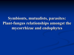 Symbionts, mutualists, parasites? Plant