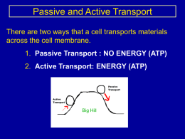 Cell transport with the environment
