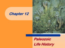chapter12 Paleozoic