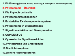 3. Phytochrome