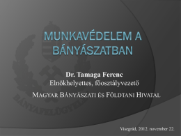 Dr. Tamaga Ferenc, MBFH