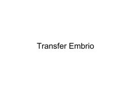 biotek. Transfer embrio