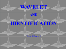 Wavelet_Identification