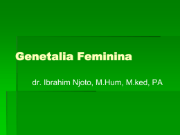 genitalia feminima