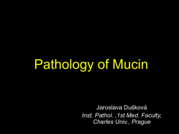Pathology of mucin