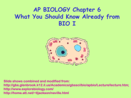 AP ch6 cells - Foglia and Reidell