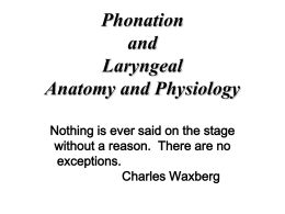 Laryngeal Anatomy and Physiology