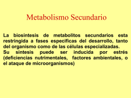 Tema 5: Metabolismo Secundario