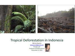 Tropical Deforestation in Indonesia Katrina Severin katseverin