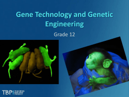 Grade12GeneticEngineering