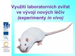 Využití laboratorních zvířat ve vývoji nových léčiv