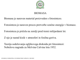 19_energetika_biomas..