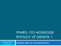 ffmbg103-genetik kod ve transkripsiyon