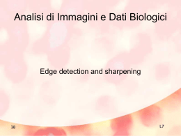 Edge Detection and Sharpening - Imaging in Biologia e Medicina