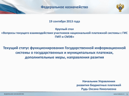 Презентация Казначейства России 19 сентября 2013 года