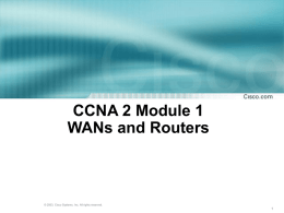 CCNA 2 Module 1 WANs and Routers
