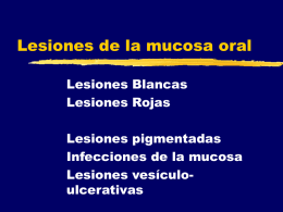 Lesiones Vesiculo ulcerativas y pigmentadas, Mucosa oral.