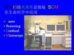 激光扫描共聚焦显微镜在生命科学中应用