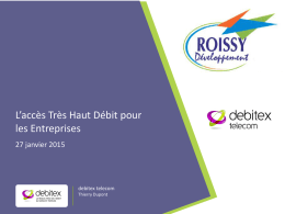 Présentation DEBITEX - Roissy Developpement