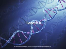 genetik kap3 / Microsoft PowerPoint