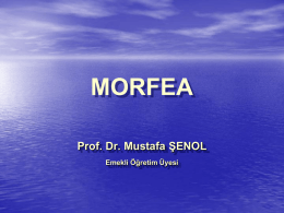 Slayt 1 - Prof. Dr. Mustafa ŞENOL