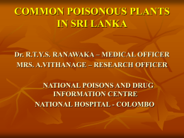Plant English