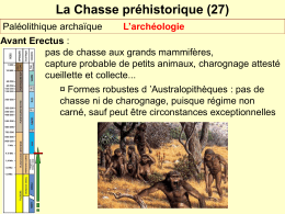 Chasse Données archéologiques 2014