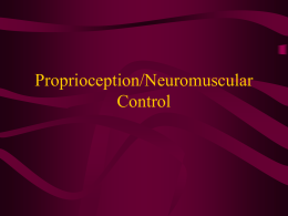 Proprioception/Neuromuscular Control