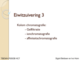 IDB HC 7 Eiwitzuivering 3