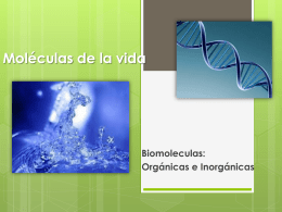 Biomoleculas orgánicas e inorgánicas