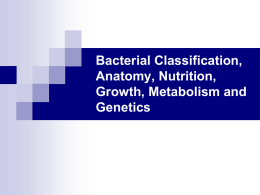 Bacterial Classification, Anatomy, Nutrition, Growth, Metabolism and