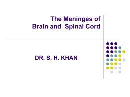 The Meninges and Blood Vessels of Brain and Spinal