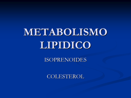 Metabolismo Colesterol