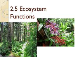 2.5_Ecosystem Functions_productivity