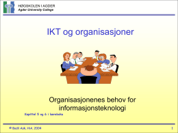 IT og Organisasjoner