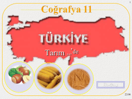 Türkiyedeki Tarım Ürünleri Sunumu 1