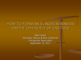 how to form an illinois business entity